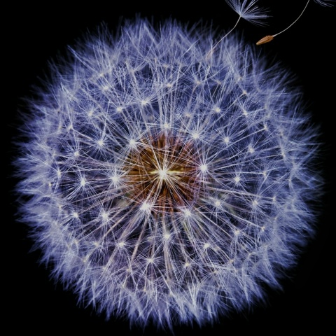 Юрий Хайбро