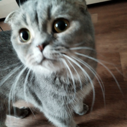 Булат Киямов