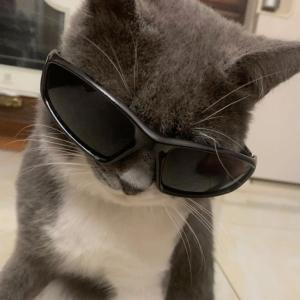 gangster